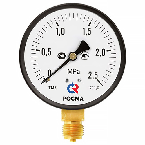 Вакуумметр РОСМА ТВ-510Р.00 (-0,1...0 МПа) Дкорп=100мм кл. 1,0 M20x1,5 общетехнический с повышенным кл.т. радиальный 00000008945