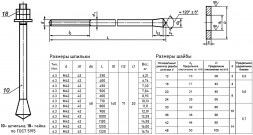 Болт фундаментный 6.3 М42х350 с коническим концом ГОСТ 24379.1-2012