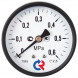 Манометр РОСМА ТМ-510Т.00 (0...40 МПа) Дкорп=100мм кл. 1,5 M20x1,5 общетехнический осевой 00000009531