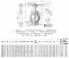 Затвор дисковый чугунный Benarmo FBV DN 100 PN 16 поворотный межфланцевый с рукояткой EURO