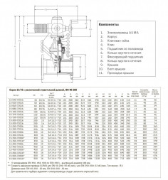 Задвижка AVK 15/72a DN 300 PN 16 клиновая с электроприводом AUMA фланцевая