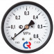 Вакуумметр РОСМА ТВ-310ТС.00 (-0,1...0 МПа) Дкорп=63мм кл. 2,5 G1/4&amp;quot; общетехнический осевой (со скобой) УТ-00051124