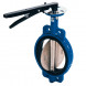 Затвор DENDOR 017W DN 125 PN 16 поворотный дисковый межфланцевый чугунный с электроприводом