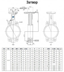 Затвор Kvant KV01 DN 250 PN 16 дисковый поворотный межфланцевый с электроприводом ГЗ-ОФ-45/11К