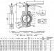 Затвор дисковый нержавеющий Benarmo 2040H DN 40 PN 16 поворотный межфланцевый с рукояткой