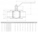 Кран шаровой цельносварной LD КШ.Ц.Ц.065.025.Н/П.02 Ду 65 Ру 25 стальной неполнопроходный цапковый
