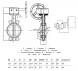 Затвор дисковый чугунный Benarmo DN 250 PN 10/16 поворотный межфланцевый с редуктором Рус