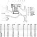 Клапан обратный Benarmo 3070 DN 32 PN 16 подъемный фланцевый