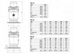 Клапан VAG DUOJET-T DN 100 PN 25 воздушный защищенный